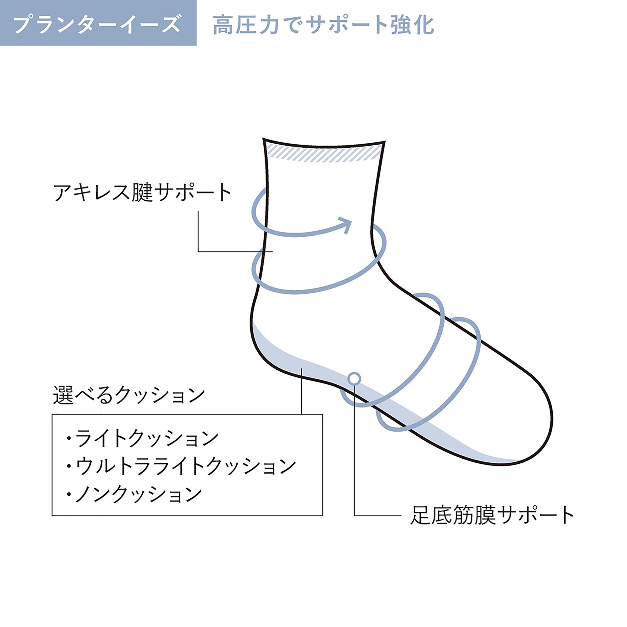 【Sockwell25AW予約】[SW32W]PLANTAR CUSH CREW　Ladies