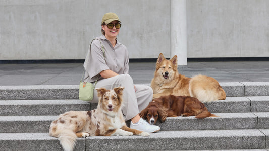 Greta（お散歩バッグ）/Dog Snack Bag Greta | PALOPA Japan（パロパ）