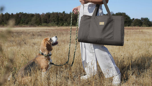 マットバッグ / Dog Travel Bag | PALOPA Japan（パロパ）