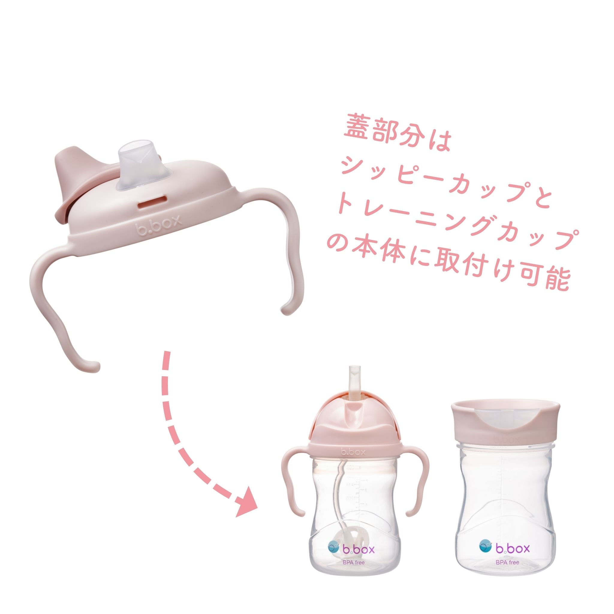 Spout cup スパウトカップ