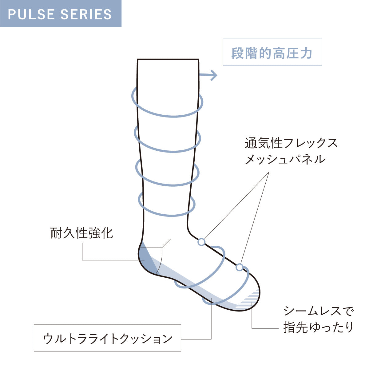 【Sockwell26SS新作予約】[SW42W]PULSE KNEE HIGH　Ladies