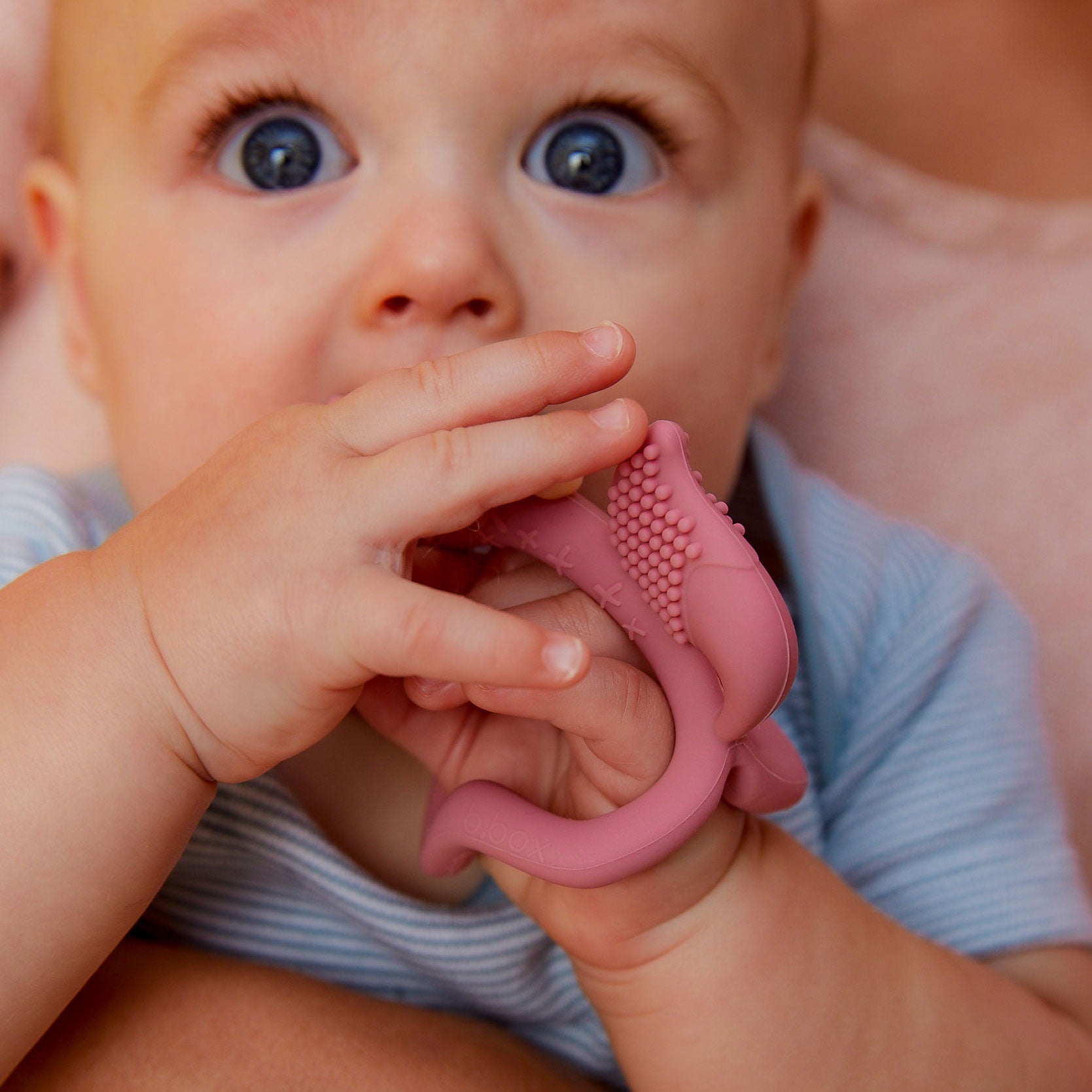 歯固め Wrist teether リストティーサー