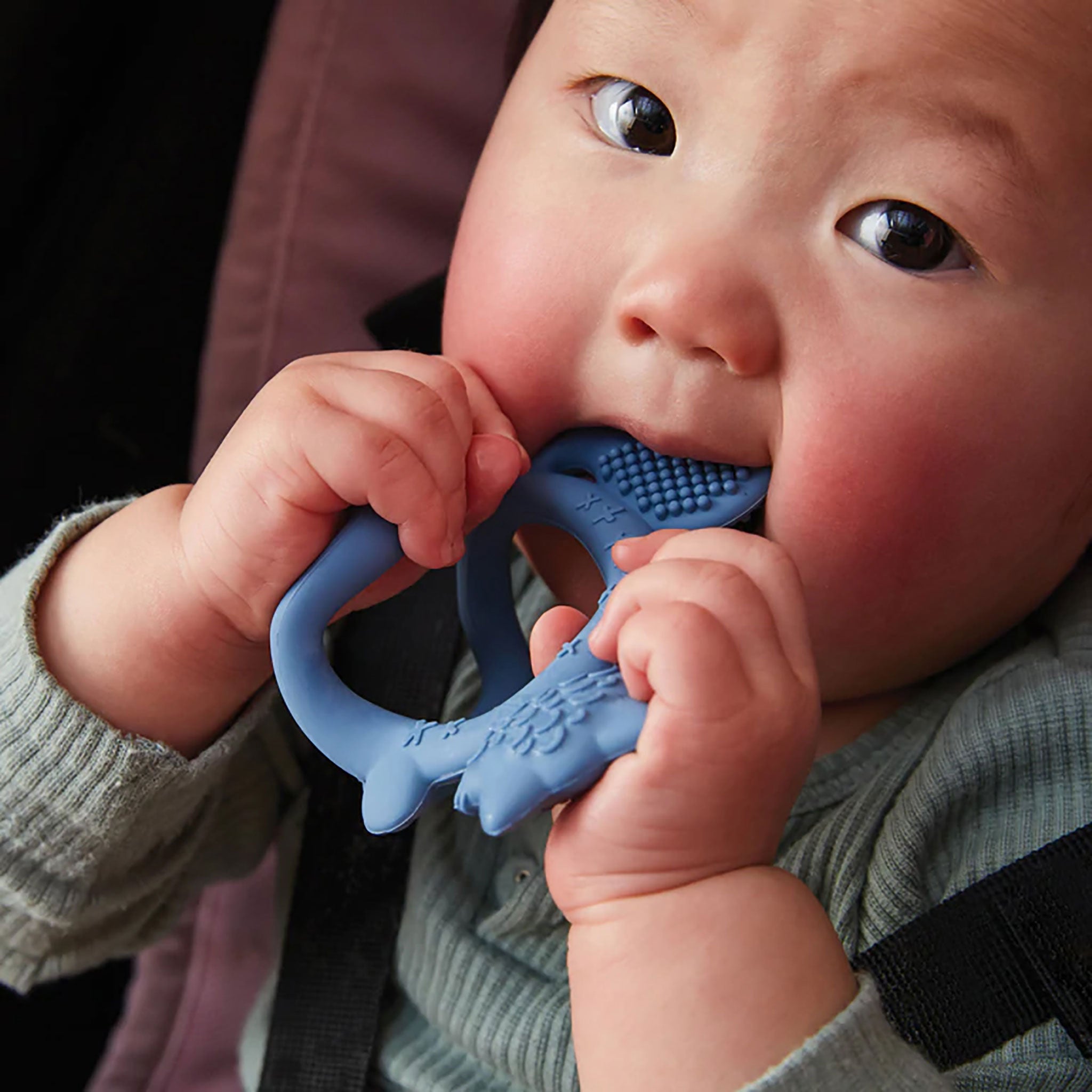 歯固め Wrist teether リストティーサー