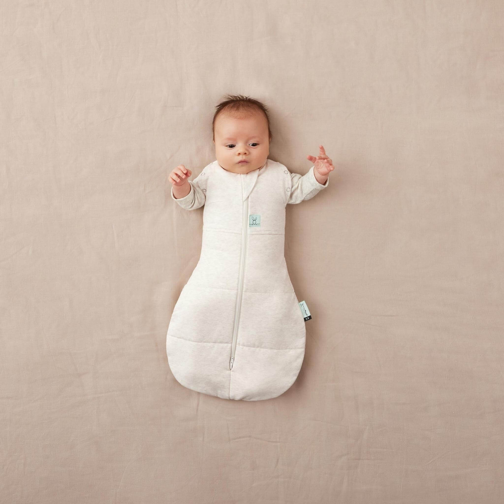 【NEW】＜冬向け＞Cocoon Swaddle Bag 2.5 TOGコクーンスワドルバッグ（新生児～／スワドル）