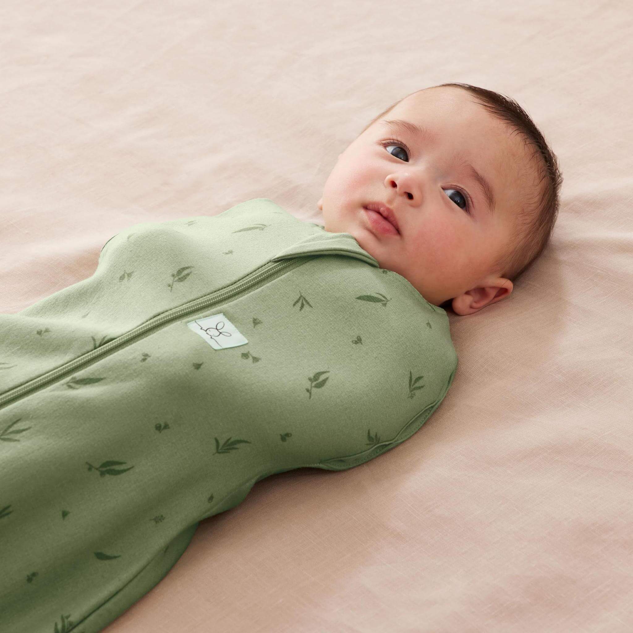 【NEW】＜オールシーズン＞Cocoon Swaddle Bag 1.0 TOGコクーンスワドルバッグ（新生児～／スワドル）