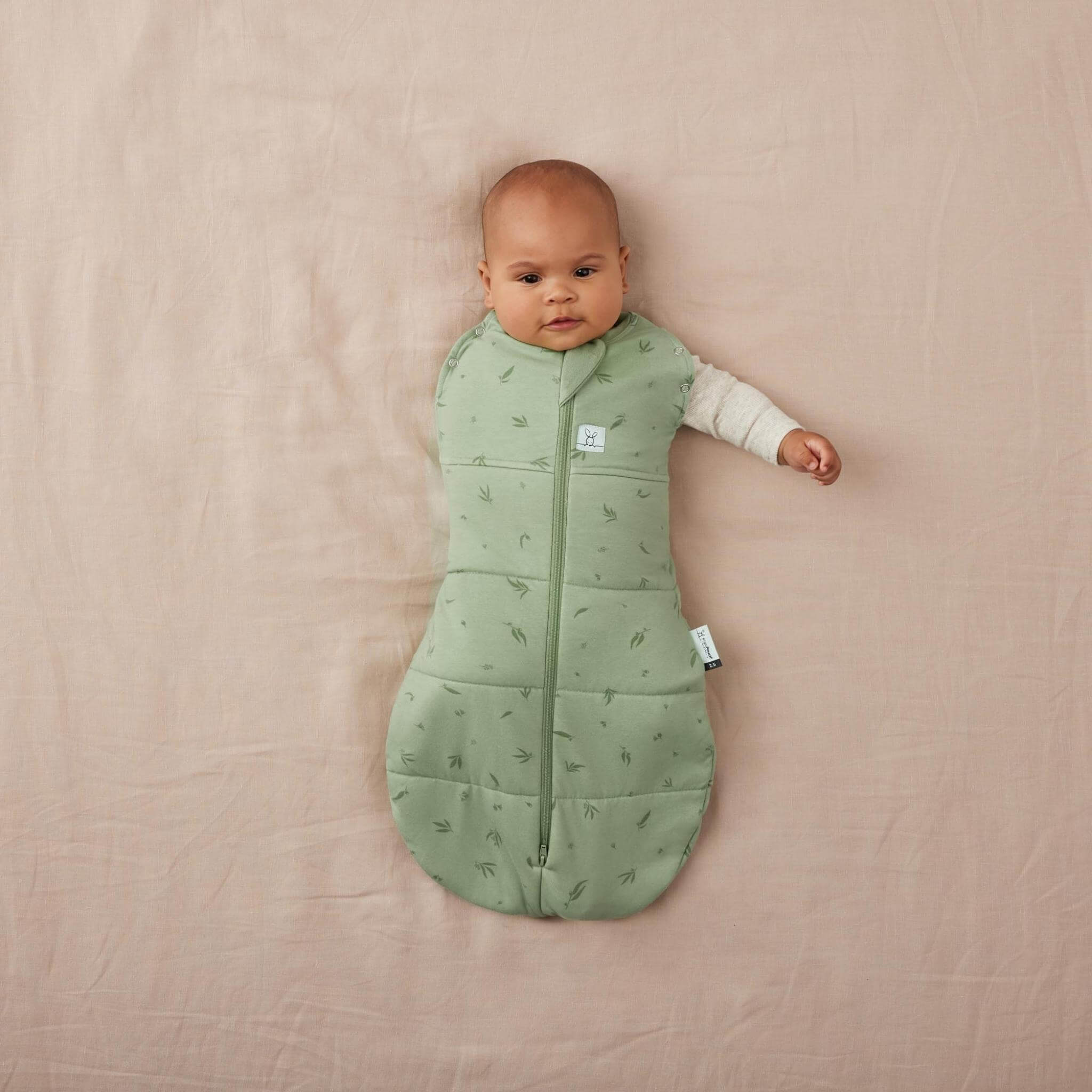 【NEW】＜冬向け＞Cocoon Swaddle Bag 2.5 TOGコクーンスワドルバッグ（新生児～／スワドル）