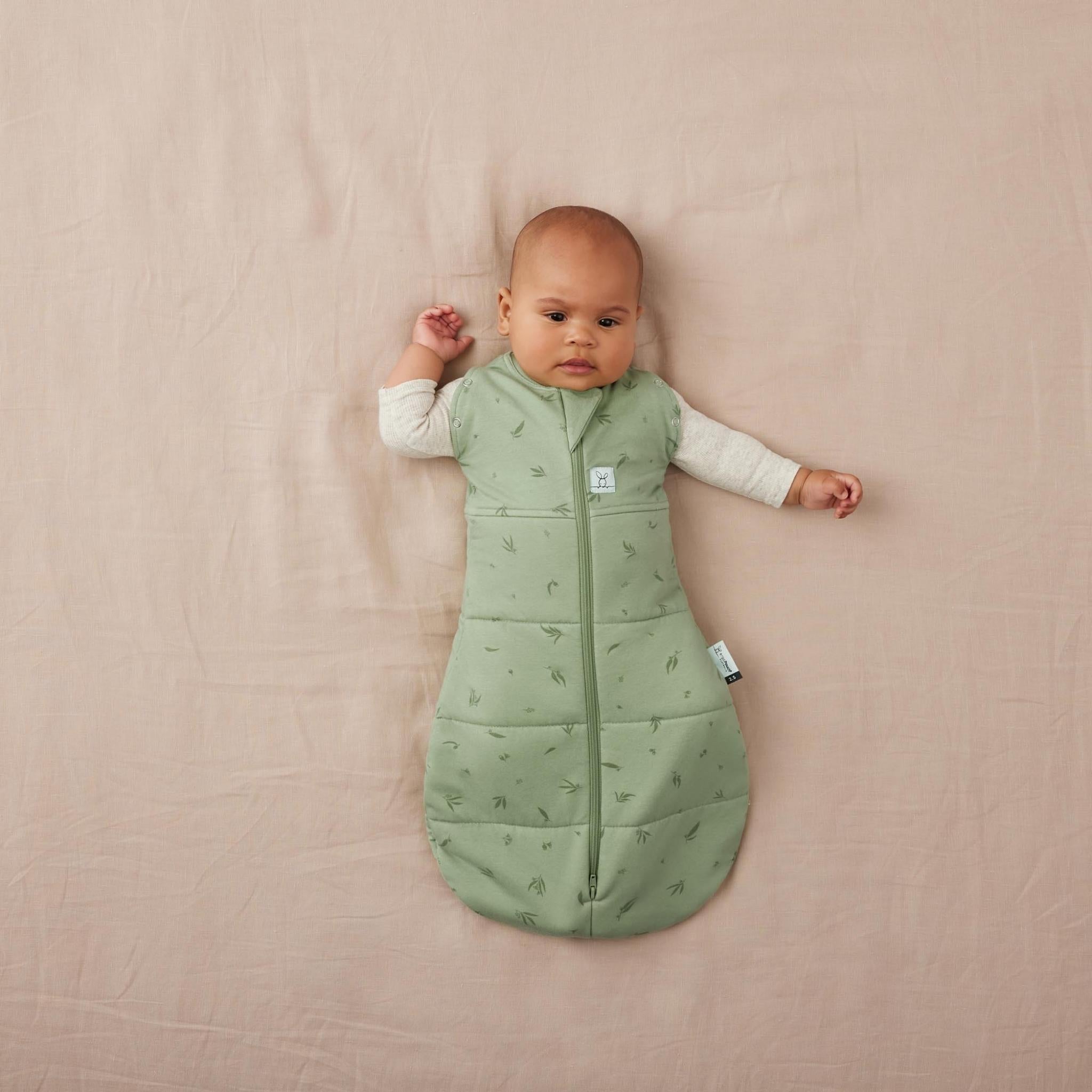 【NEW】＜冬向け＞Cocoon Swaddle Bag 2.5 TOGコクーンスワドルバッグ（新生児～／スワドル）